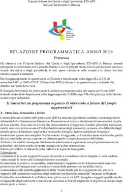 RELAZIONE PROGRAMMATICA ANNO 2019 - Premessa - Unione Italiana Ciechi di Brescia