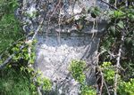 Macchine Animate dall'acqua - Giovanna Petrone - I MULINI DEL PARCO NAZIONALE DELL'APPENNINO LUCANO