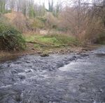 Macchine Animate dall'acqua - Giovanna Petrone - I MULINI DEL PARCO NAZIONALE DELL'APPENNINO LUCANO