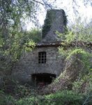 Macchine Animate dall'acqua - Giovanna Petrone - I MULINI DEL PARCO NAZIONALE DELL'APPENNINO LUCANO