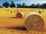 PSR TOSCANA 2014-2020 - Quadro di sintesi delle principali misure per la conservazione della biodiversit&agrave; e la sostenibilit&agrave; ambientale - La mia ...