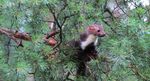 PSR TOSCANA 2014-2020 - Quadro di sintesi delle principali misure per la conservazione della biodiversit&agrave; e la sostenibilit&agrave; ambientale - La mia ...