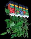 BerryVerona - CATALOGO LINEA GARDEN 2021/2022 - Berry Verona
