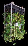 BerryVerona - CATALOGO LINEA GARDEN 2021/2022 - Berry Verona