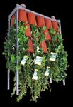 BerryVerona - CATALOGO LINEA GARDEN 2021/2022 - Berry Verona