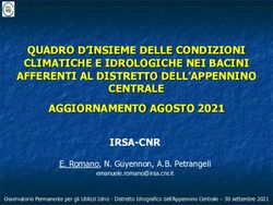 QUADRO D'INSIEME DELLE CONDIZIONI CLIMATICHE E IDROLOGICHE NEI BACINI AFFERENTI AL DISTRETTO DELL'APPENNINO CENTRALE AGGIORNAMENTO AGOSTO 2021 ...