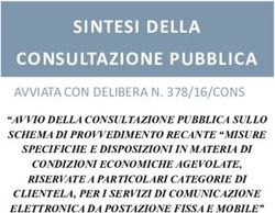 SINTESI DELLA CONSULTAZIONE PUBBLICA - AVVIATA CON DELIBERA N. 378/16/CONS - Agcom