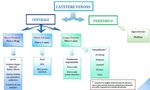CATETERI VENOSI CVC-PICC-MIDLINE - Guida di rapida consultazione Indicazione - Classificazione Caratteristiche - Gestione