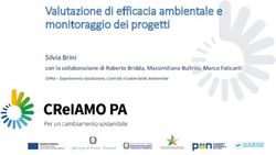 Valutazione di efficacia ambientale e monitoraggio dei progetti - Silvia Brini con la collaborazione di Roberto Bridda, Massimiliano Bultrini ...