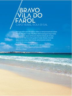 Bravo vila do Farol Capo Verde, isola di sal