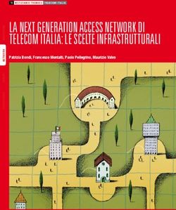 LA NEXT GENERATION ACCESS NETWORK DI TELECOM ITALIA: LE SCELTE INFRASTRUTTURALI - Patrizia Bondi, Francesco Montalti, Paolo Pellegrino, Maurizio Valvo