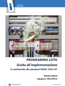 PROGRAMMA LOTO GUIDA ALL'IMPLEMENTAZIONE - INSIC - IN CONFORMIT&Agrave; ALLO STANDARD OSHA 1910.147