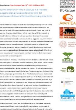 I primi embrioni in vitro in assoluto mai realizzati possono segnare una svolta nel destino del rinoceronte bianco settentrionale ormai quasi ...