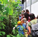 Sistema museale Guida dello studente - Università di Camerino