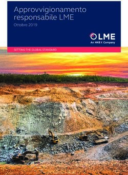 Approvvigionamento responsabile LME - Ottobre 2019 SETTING THE GLOBAL STANDARD - London Metal ...