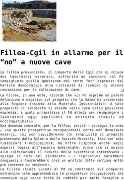 Fillea-Cgil in allarme per il "no" a nuove cave - Gruppo 2019