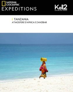TANZANIA ATMOSFERE D'AFRICA E ZANZIBAR - Kel 12