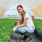 Fondo Integrativo Sanitario Agricolo - Regolamento valido dal 1 Gennaio 2020 - Fondo Fisa