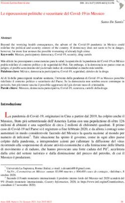 Le ripercussioni politiche e securitarie del Covid-19 in Messico