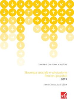 Sicurezza stradale e valutazione Percorsi possibili 2019 - CONTRIBUTO DI RICERCA 285/2019 - IRES ...