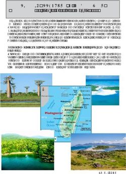 VIAGGIO AVVENTURA IN MADAGASCAR - (13 giorni, dal 10 al 22 Maggio 2020) - Spark Tour