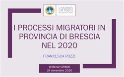 I PROCESSI MIGRATORI IN PROVINCIA DI BRESCIA NEL 2020 - FRANCESCA POZZI WEBINAR CIRMIB