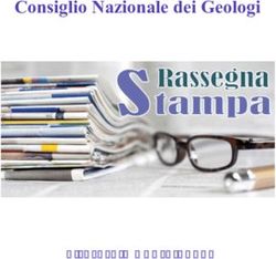 Consiglio Nazionale dei Geologi - 1 -2-3- 4 maggio 2020