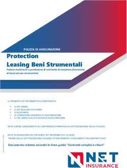 Protection Leasing Beni Strumentali - Net Insurance