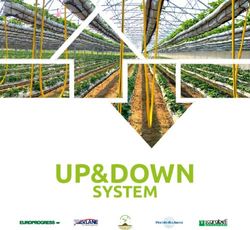 UP&DOWN SYSTEM - Europrogress