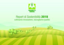 Report di Sostenibilit&agrave; 2018 - coltiviamo innovazione, raccogliamo qualit&agrave; - Coldiretti Verona