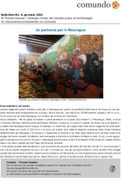 In partenza per il Nicaragua - Comundo