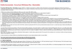 Profilo Commerciale - Promo Rush TIM Deluxe Plus - Ricaricabile