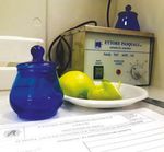 Qualche buona notizia per l'annata 2017/18 - ANALISI SENSORIALE - Verdiani Srl