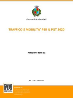 TRAFFICO E MOBILITA' PER IL PGT 2020 - Relazione tecnica - Comune di Nerviano (MI) - Comune di ...