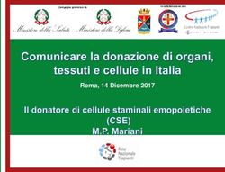 Roma, 14 Dicembre 2017 - Difesa