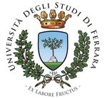Il Diabete Gestazionale - Do#.ssa Danila Morano UNIVERSITA' DI FERRARA DIPARTIMENTO DI MORFOLOGIA, CHIRURGIA E MEDICINA SPERIMENTALE - Unife