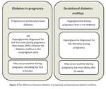 Il Diabete Gestazionale - Do#.ssa Danila Morano UNIVERSITA' DI FERRARA DIPARTIMENTO DI MORFOLOGIA, CHIRURGIA E MEDICINA SPERIMENTALE - Unife