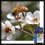 IL MIELE DI MANUKA MGO NATURA E SCIENZA PER LA SALUTE - Collana GLI EBOOK DEL BENESSERE NATURALE DI