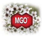 IL MIELE DI MANUKA MGO NATURA E SCIENZA PER LA SALUTE - Collana GLI EBOOK DEL BENESSERE NATURALE DI