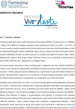 BANDO DI CONCORSO - Ministero degli Affari Esteri