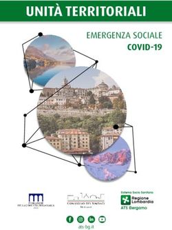 UNITÀ TERRITORIALI EMERGENZA SOCIALE COVID-19 - Fondazione della ...