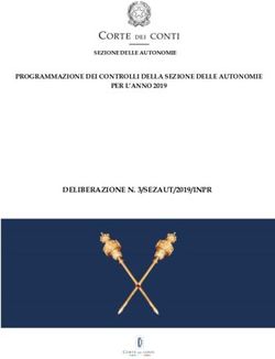 DELIBERAZIONE N. 3/SEZAUT/2019/INPR - PROGRAMMAZIONE DEI CONTROLLI DELLA SEZIONE DELLE AUTONOMIE PER L'ANNO 2019 - Corte dei Conti