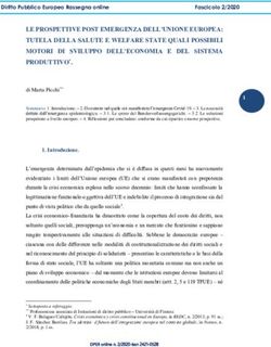 LE PROSPETTIVE POST EMERGENZA DELL'UNIONE EUROPEA: TUTELA DELLA SALUTE E WELFARE STATE QUALI POSSIBILI MOTORI DI SVILUPPO DELL'ECONOMIA E DEL SISTEMA