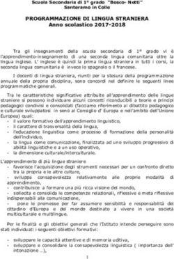 PROGRAMMAZIONE DI LINGUA STRANIERA - Anno scolastico 2017-2018 - Bosco-Netti