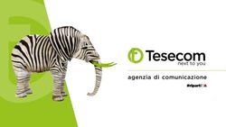 Agenzia di comunicazione - Tesecom