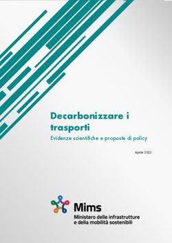 Decarbonizzare i trasporti - Evidenze scientifiche e proposte di policy - AVIONEWS