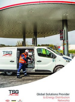Global Solutions Provider to Energy Distribution - TSG