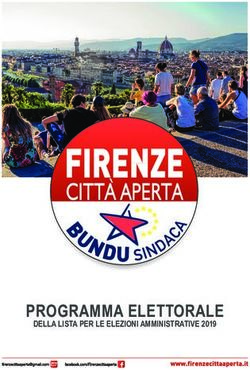 PROGRAMMA ELETTORALE DELLA LISTA PER LE ELEZIONI AMMINISTRATIVE 2019 - Firenze Città Aperta