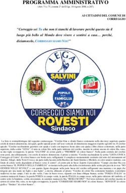 PROGRAMMA AMMINISTRATIVO - CORRETTO