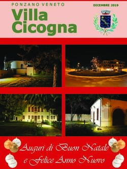 Auguri di Buon Natale e Felice Anno Nuovo - PONZANO VENETO